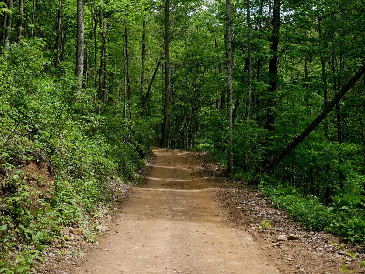 RH 34 trail photo