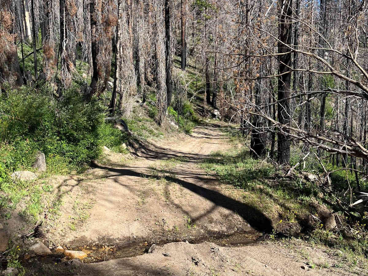 Crofts Follie Trail photo 6