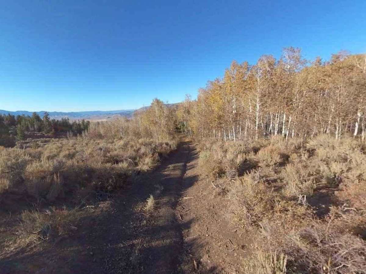 Forshea Mountain South photo 5