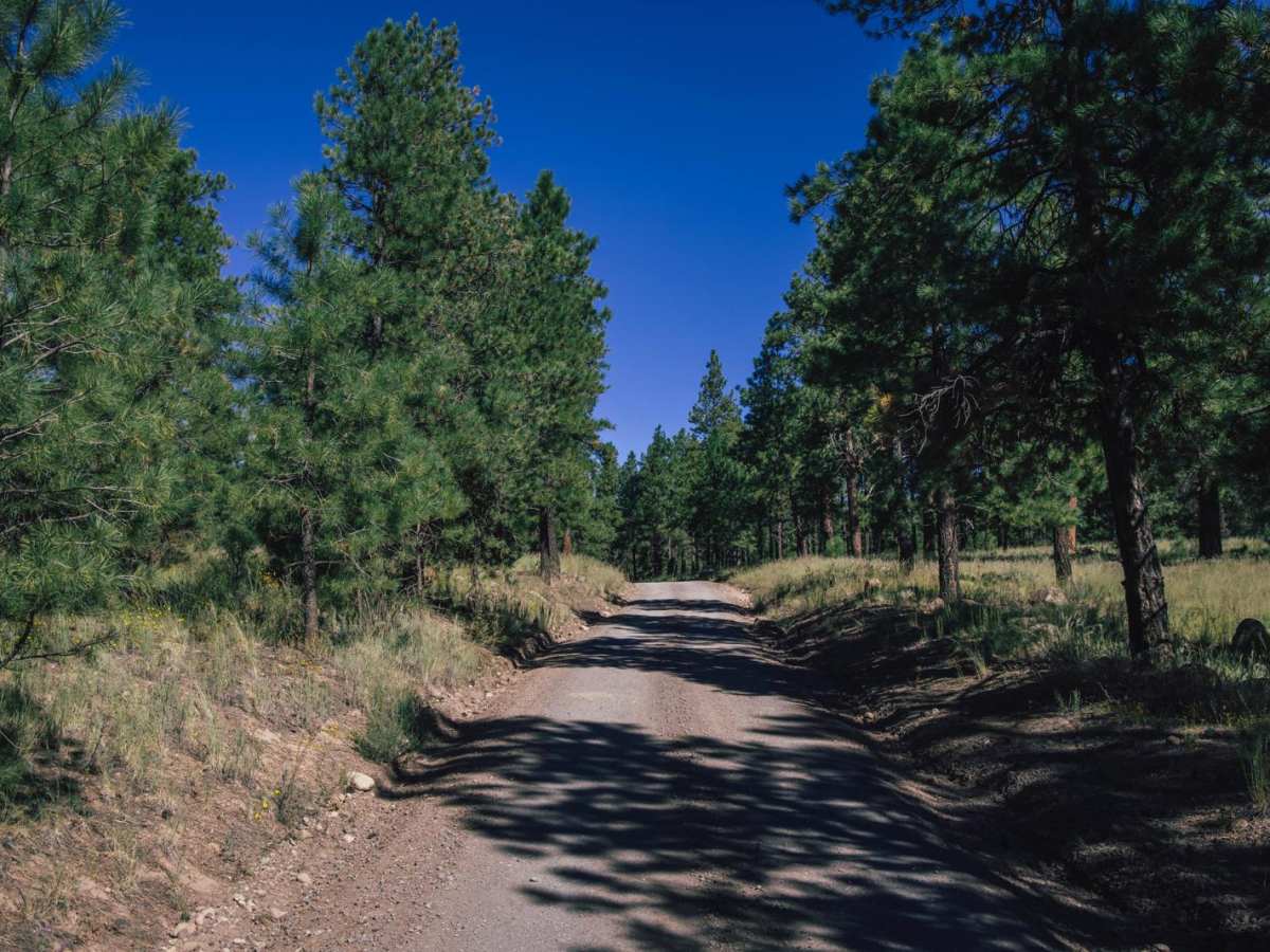 Schultz Pass photo 2