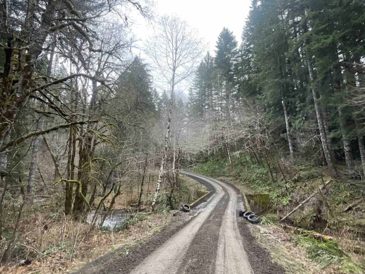 Derby Creek Road trail photo
