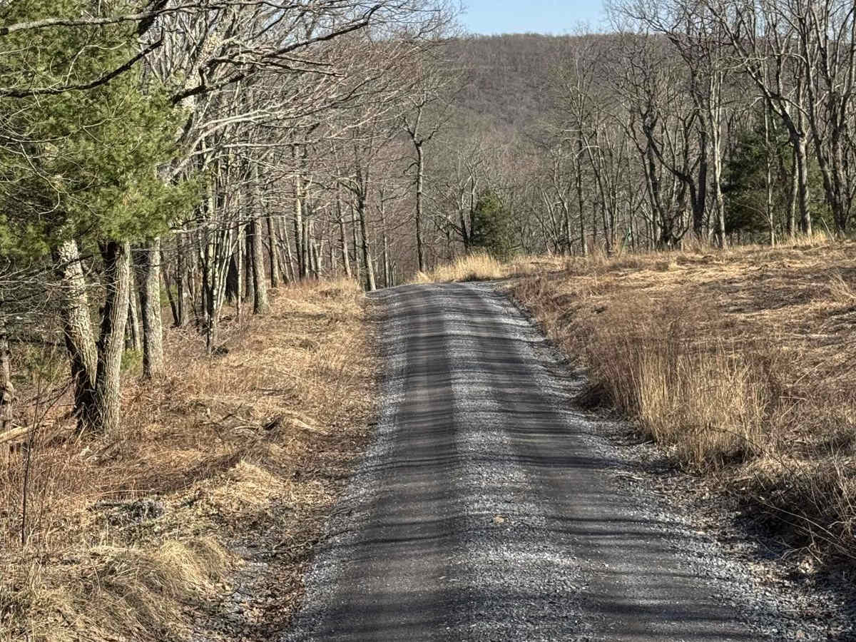 Grugan Hollow Road photo 6