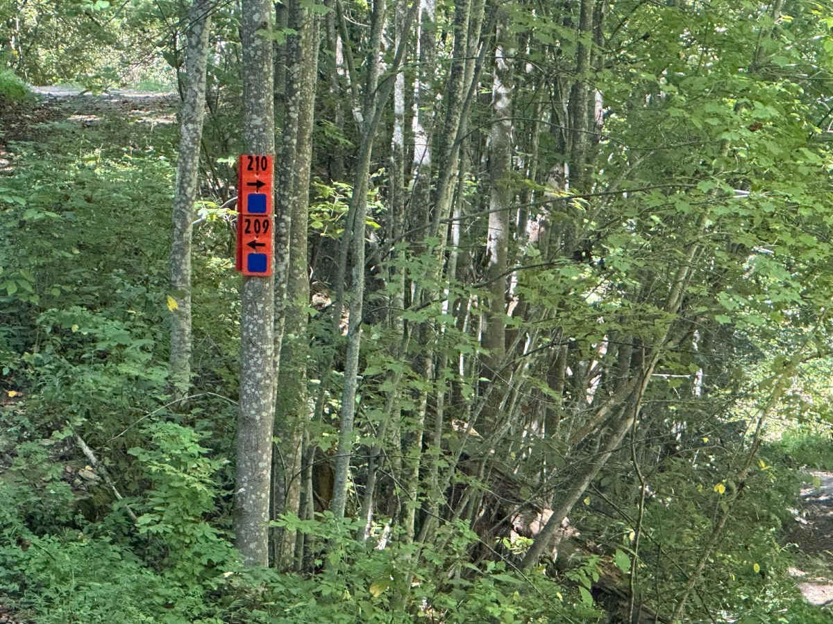 210 trail photo