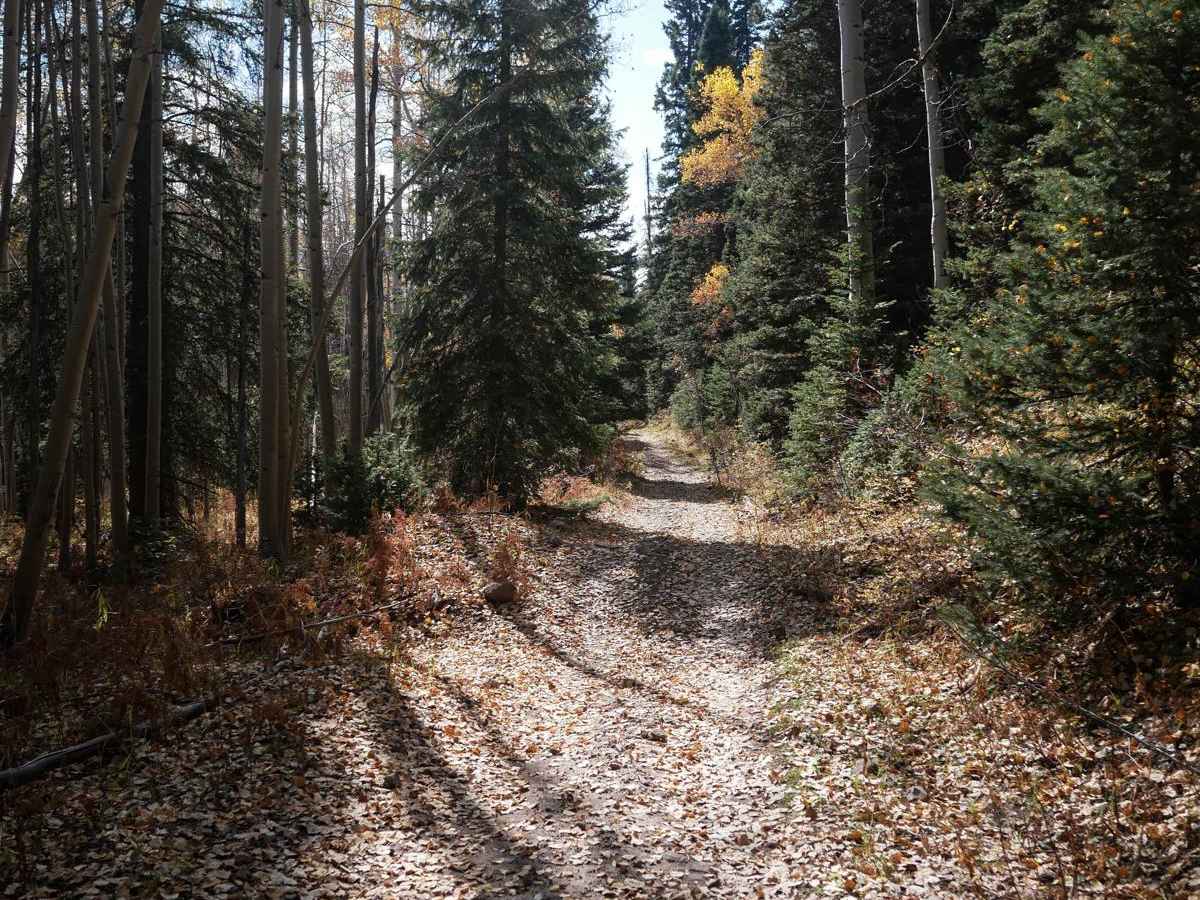 Lou Creek ATV photo 2