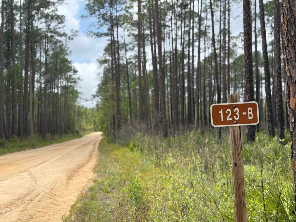 FS-123-B trail photo