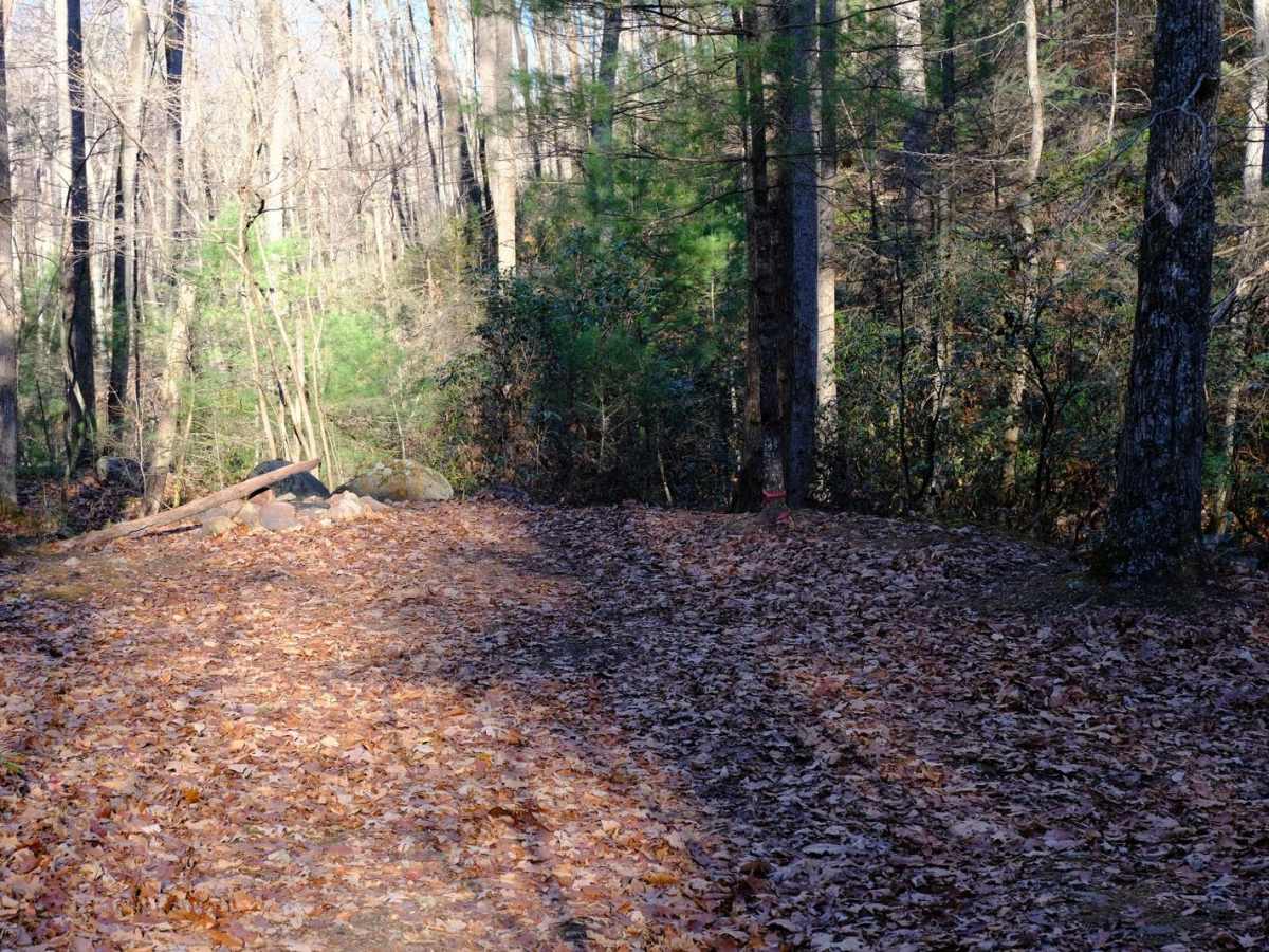Shady Mountain Road photo 6