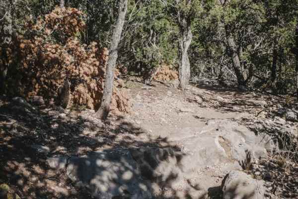 Rabbit Run