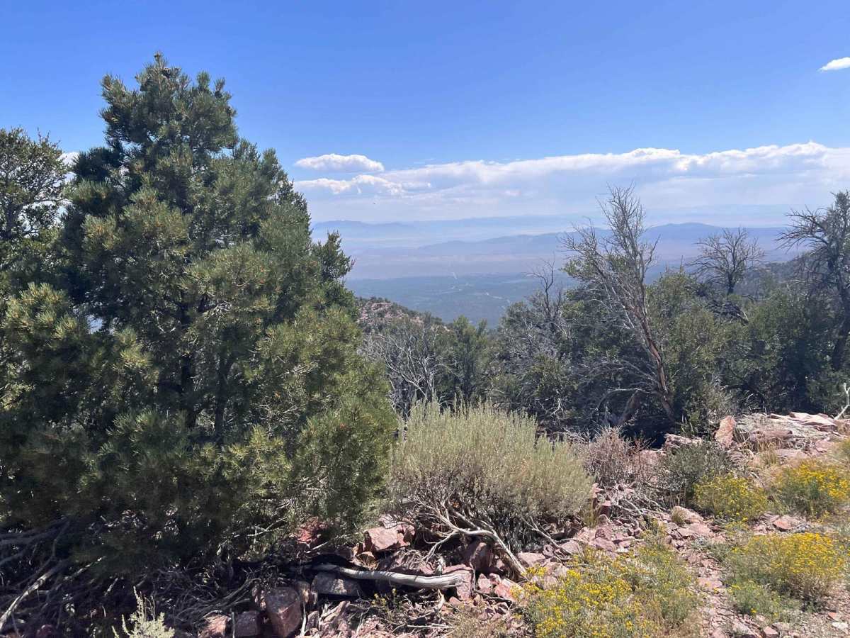 Frisco Peak Road photo 6