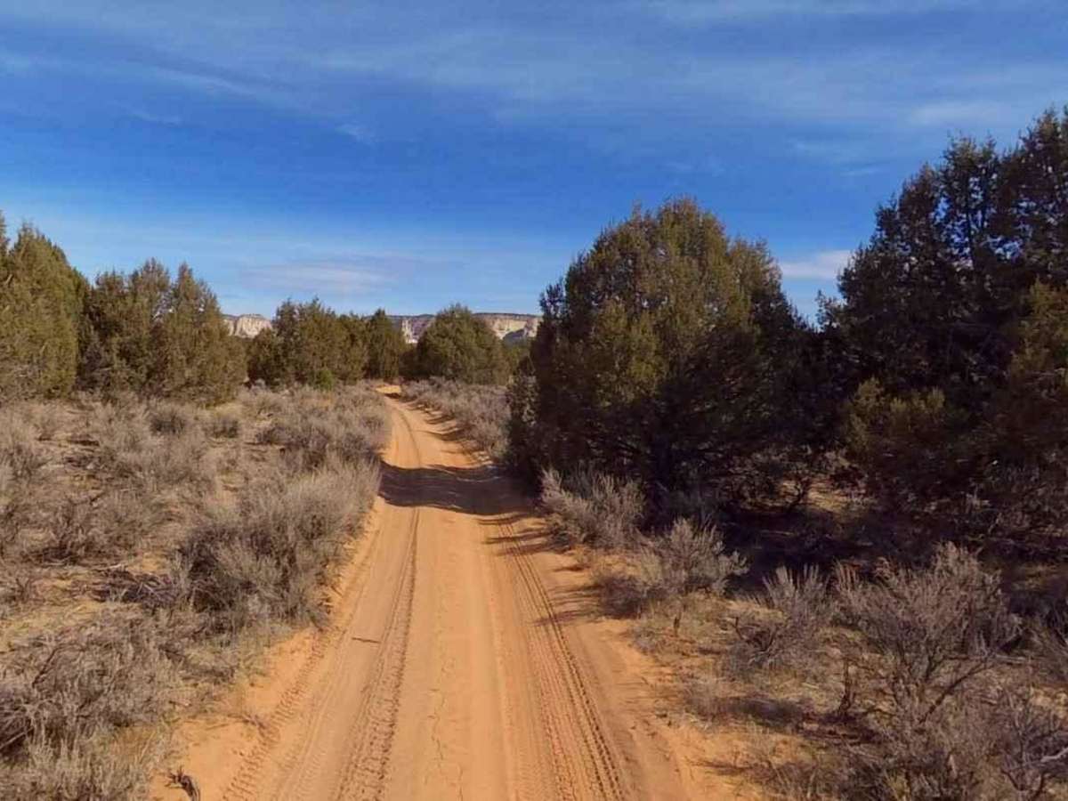 Cutler Point-BLM1035 photo 2