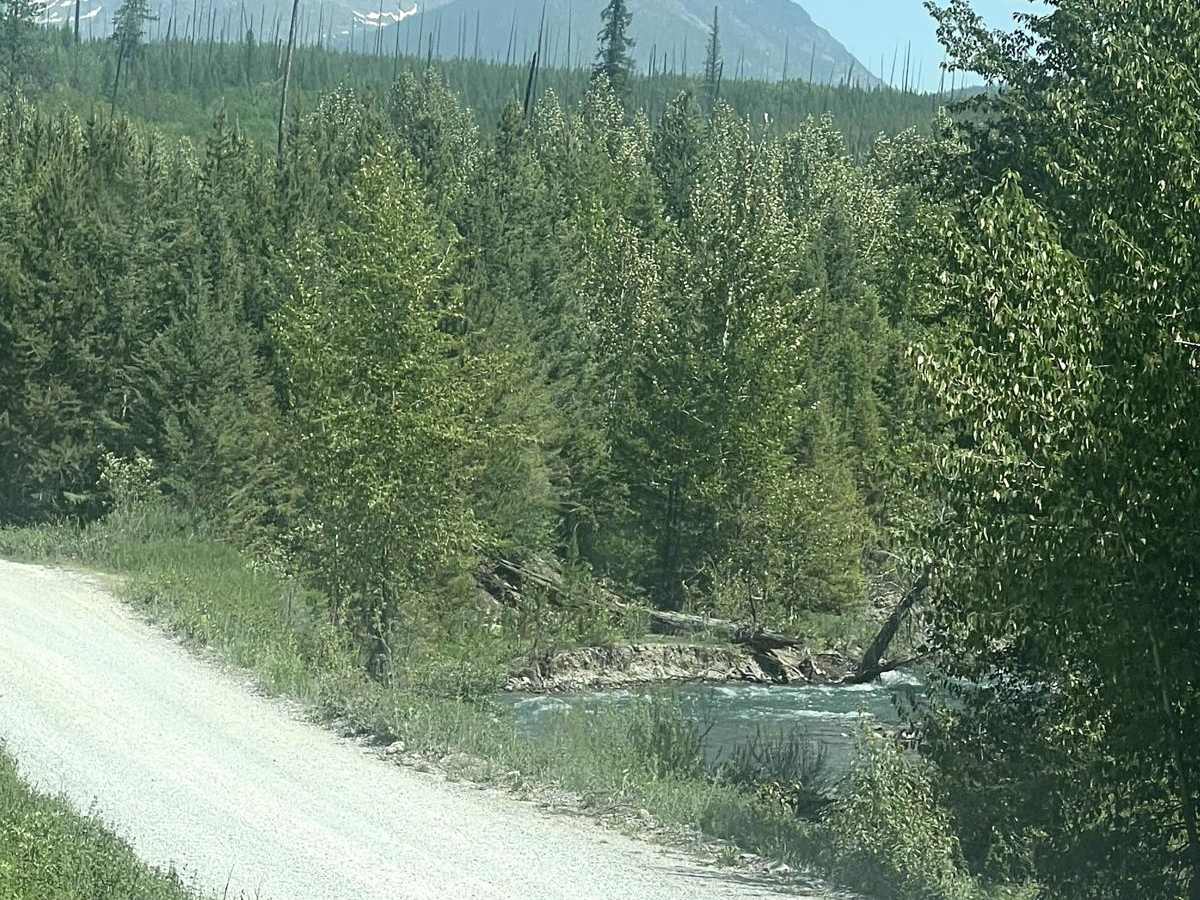 Bowman Lake Road photo 4