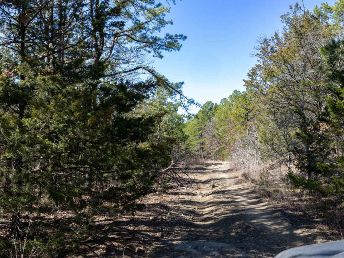 Billy Creek Spur Trail photo 2