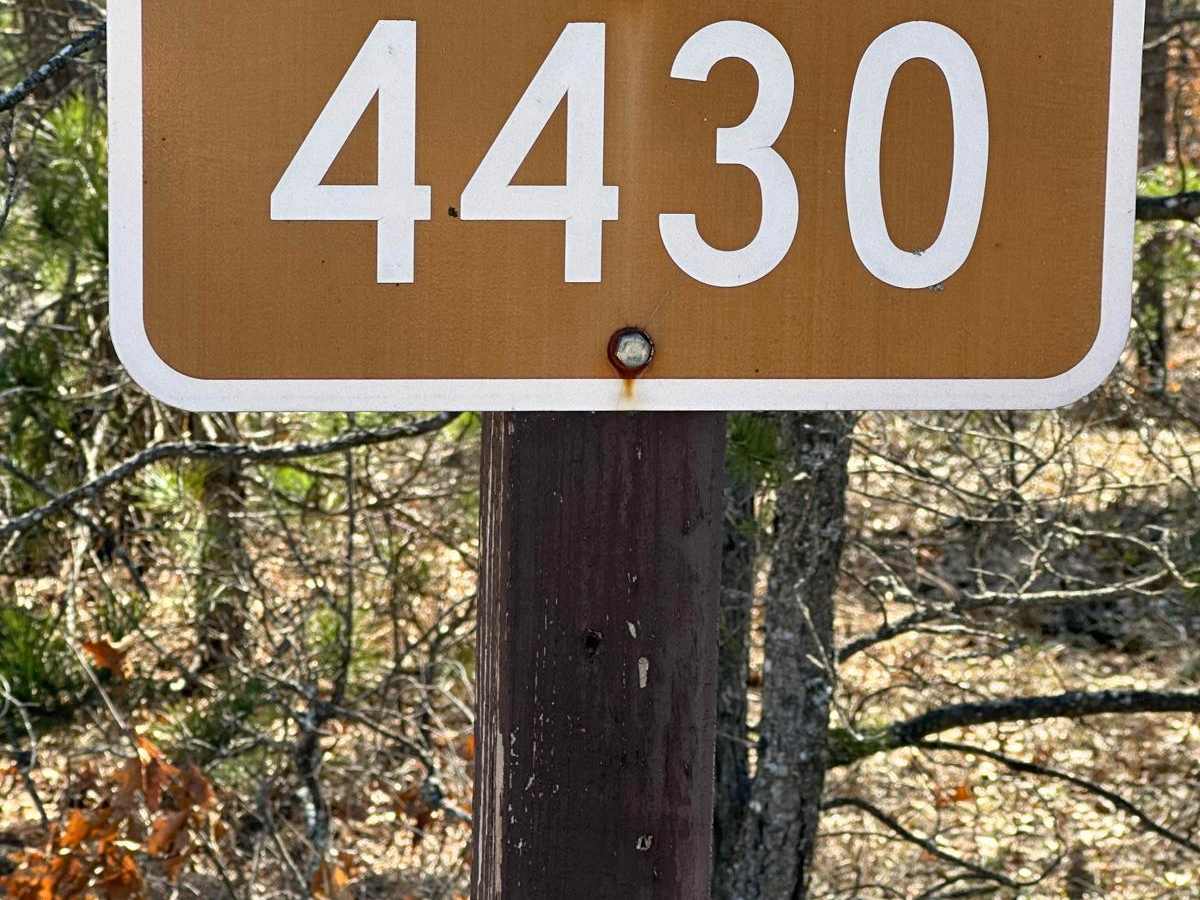 FS 4430 trail photo