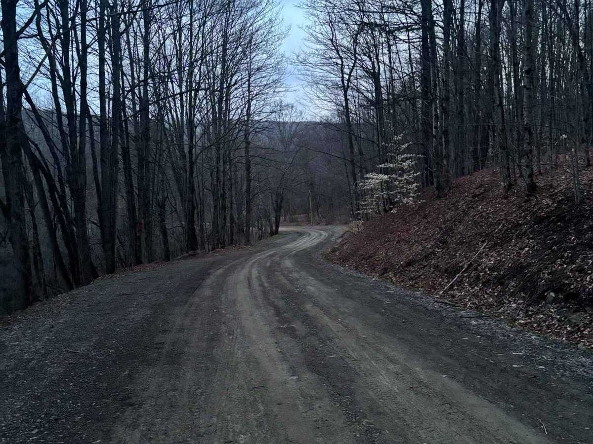 Walker Road photo 2