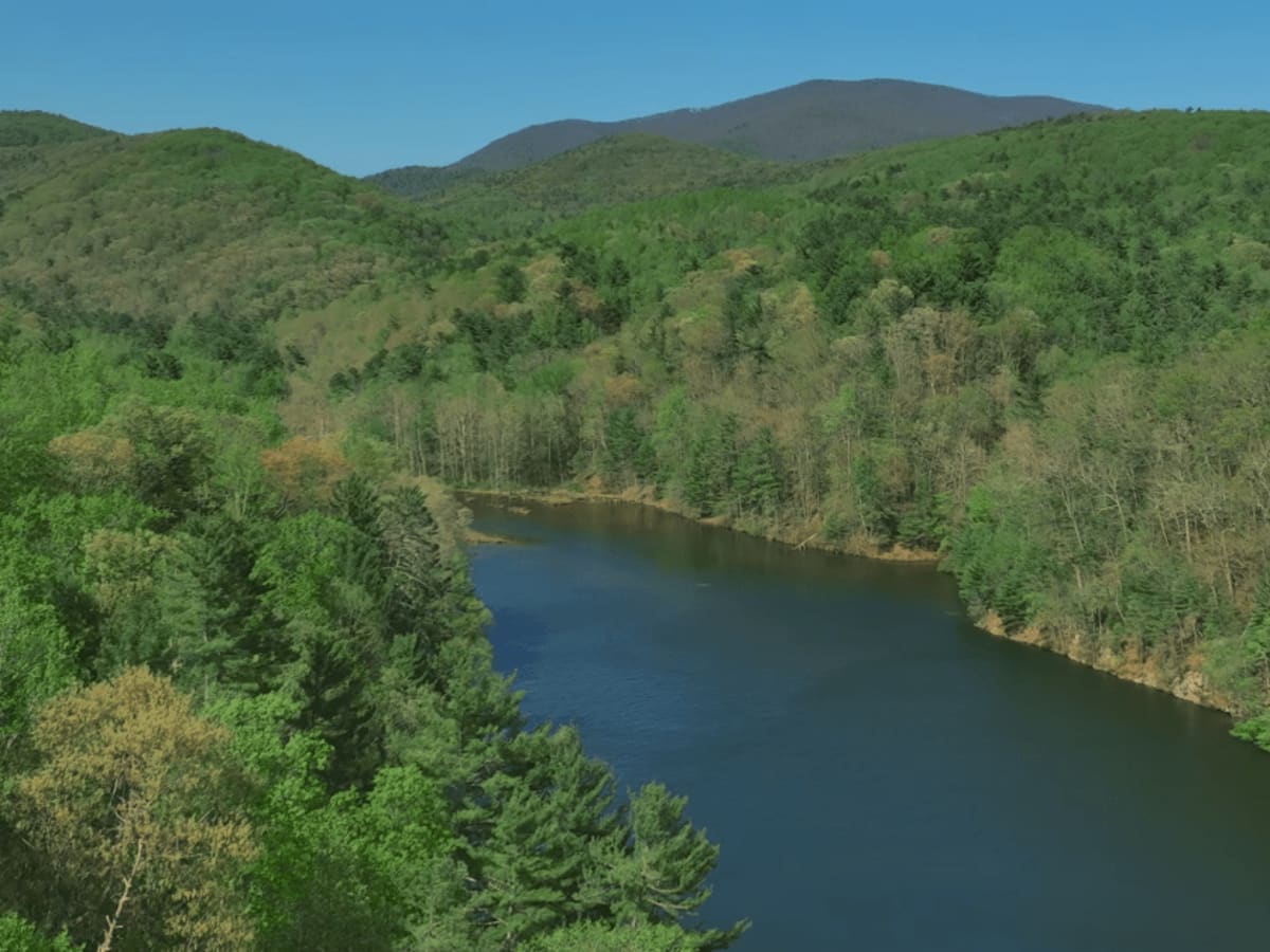 Pedlar River photo 4