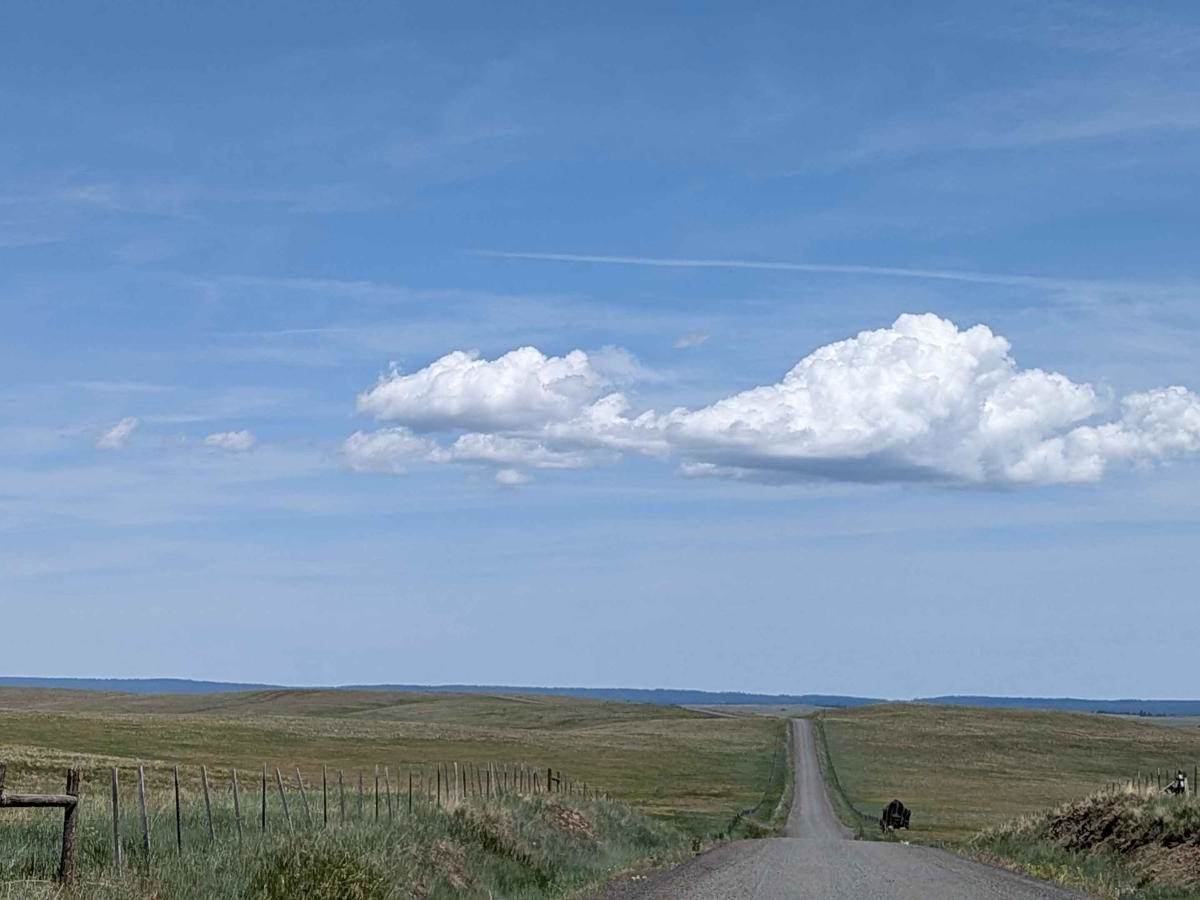 Endless Prarie Road 697 photo 4