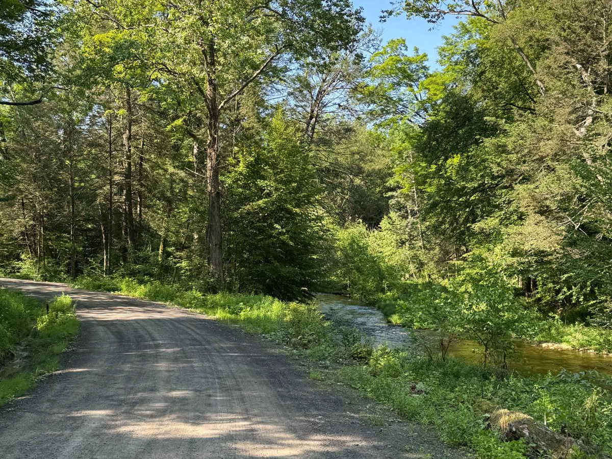 Lundy Road photo 3