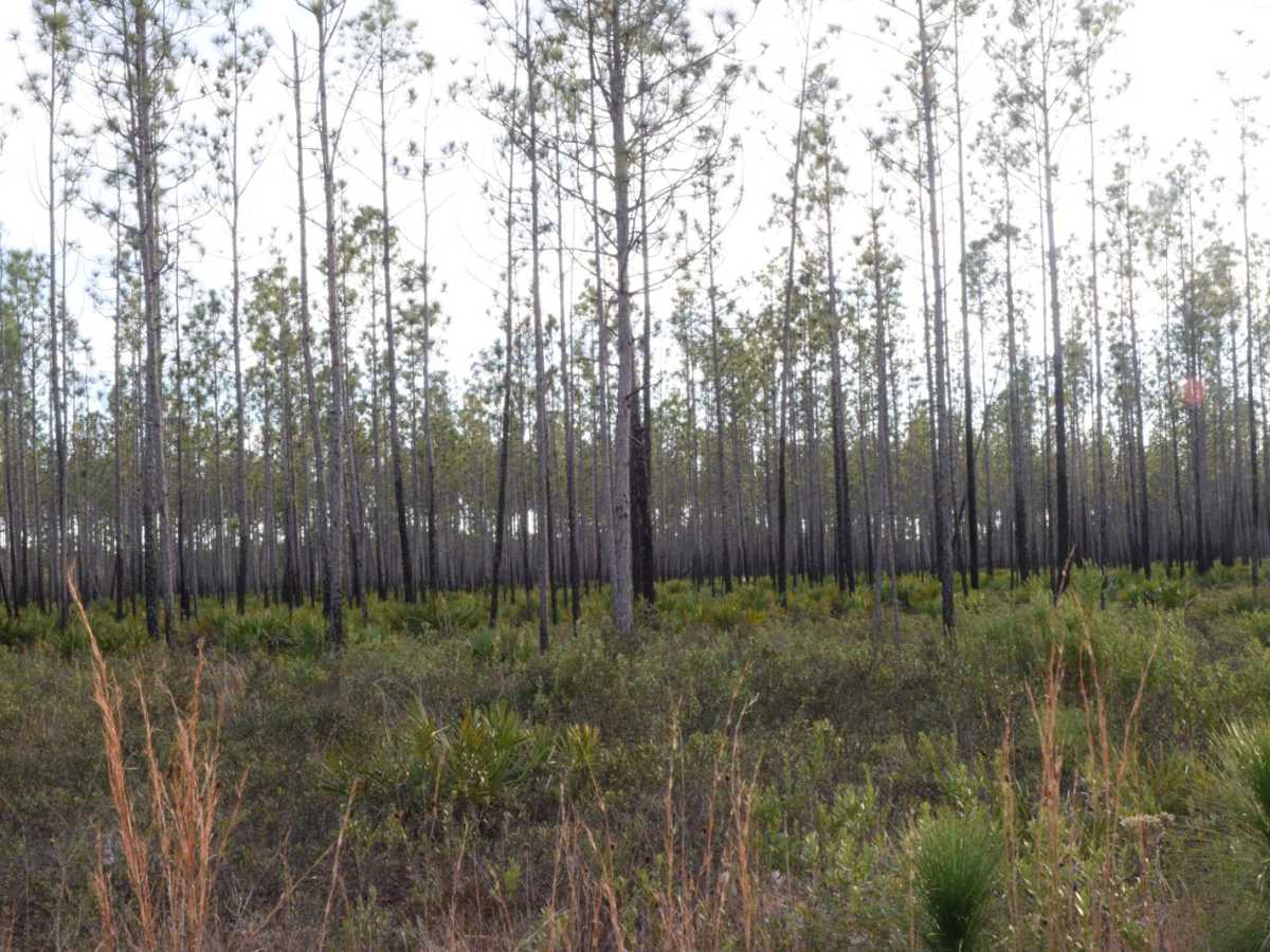 267 - Otter Camp (344) photo 6