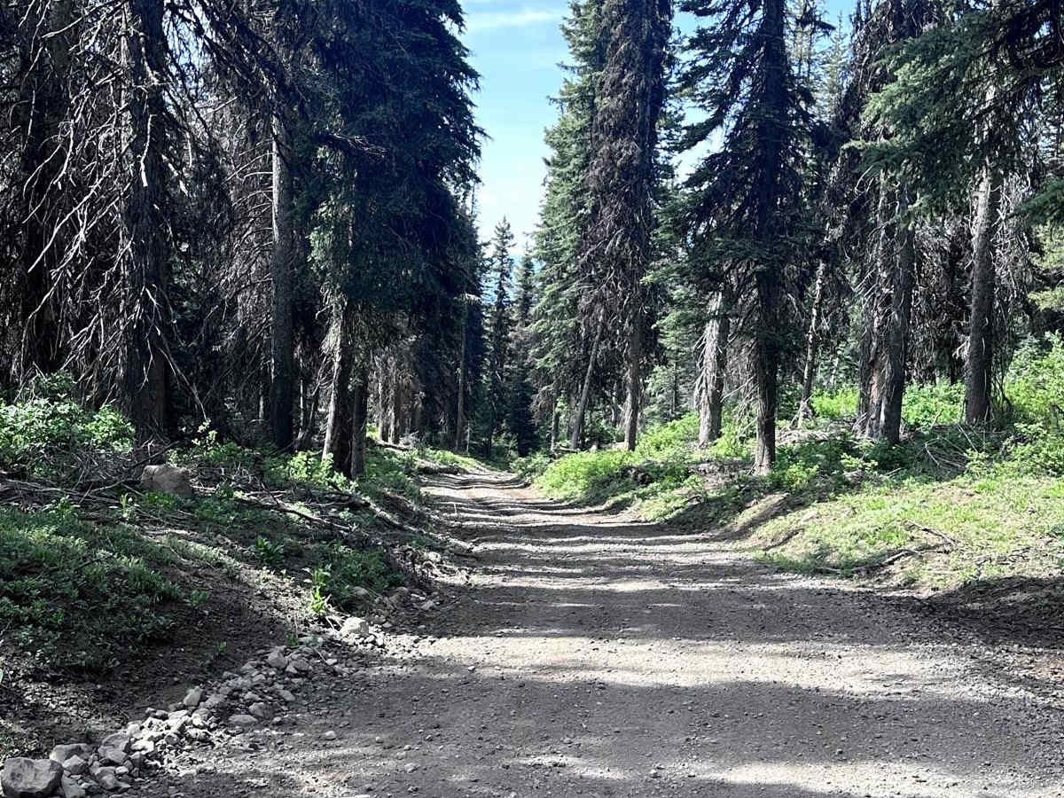 Meadows Goose Lake photo 6