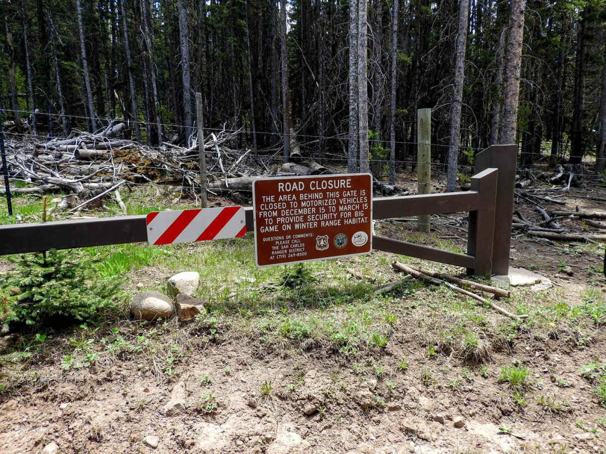 Meadow Divide Road- FSR 325 photo 3