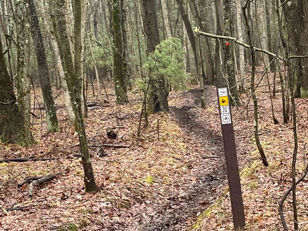 Horseshoe Motorcycle Trail Part 3 photo 4