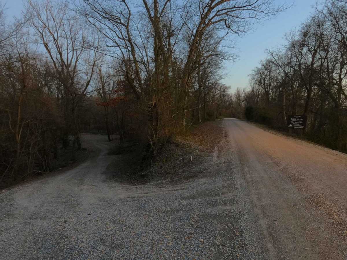 Wolf Bayou Road photo 4