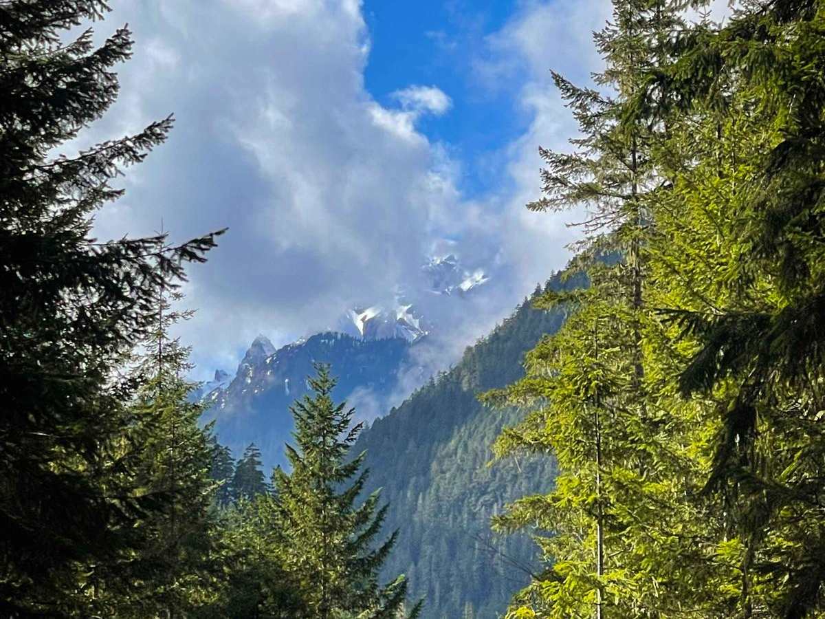 Tunnel Creek Trail photo 4