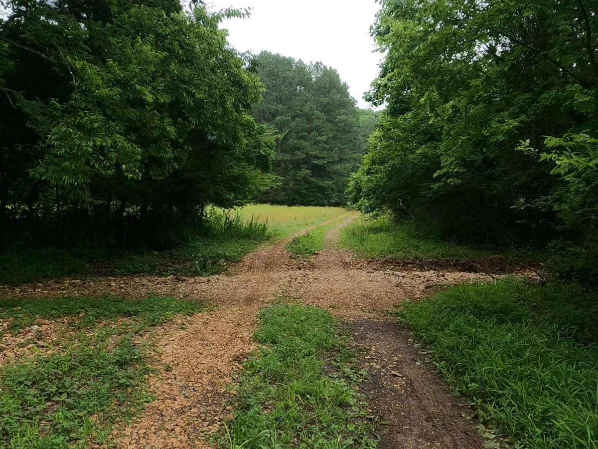Fox Hollow Bottoms FSR 219 photo 6