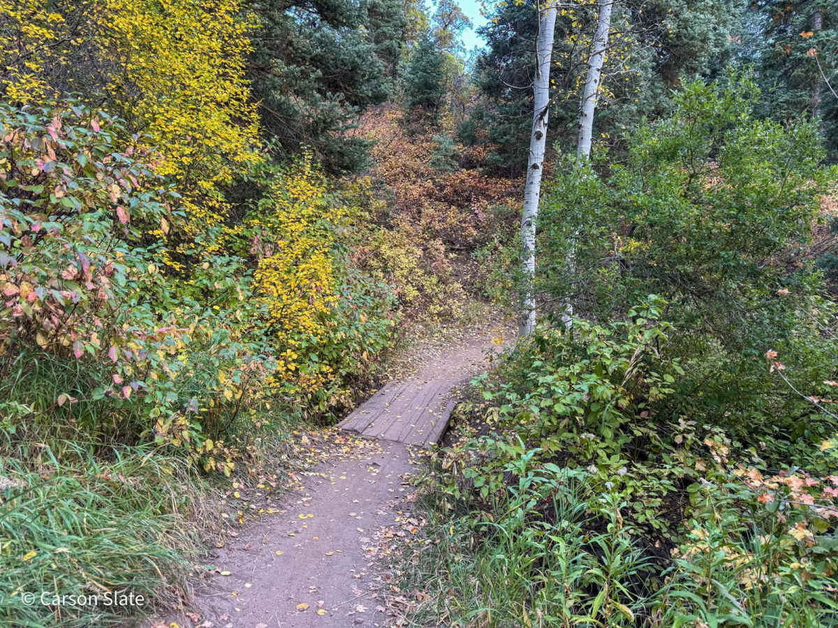 North Park photo 3