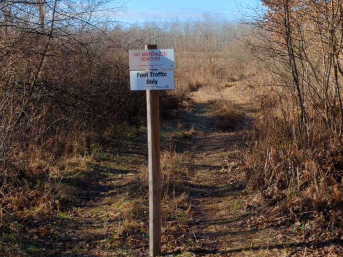 Mosquito Creek photo 6