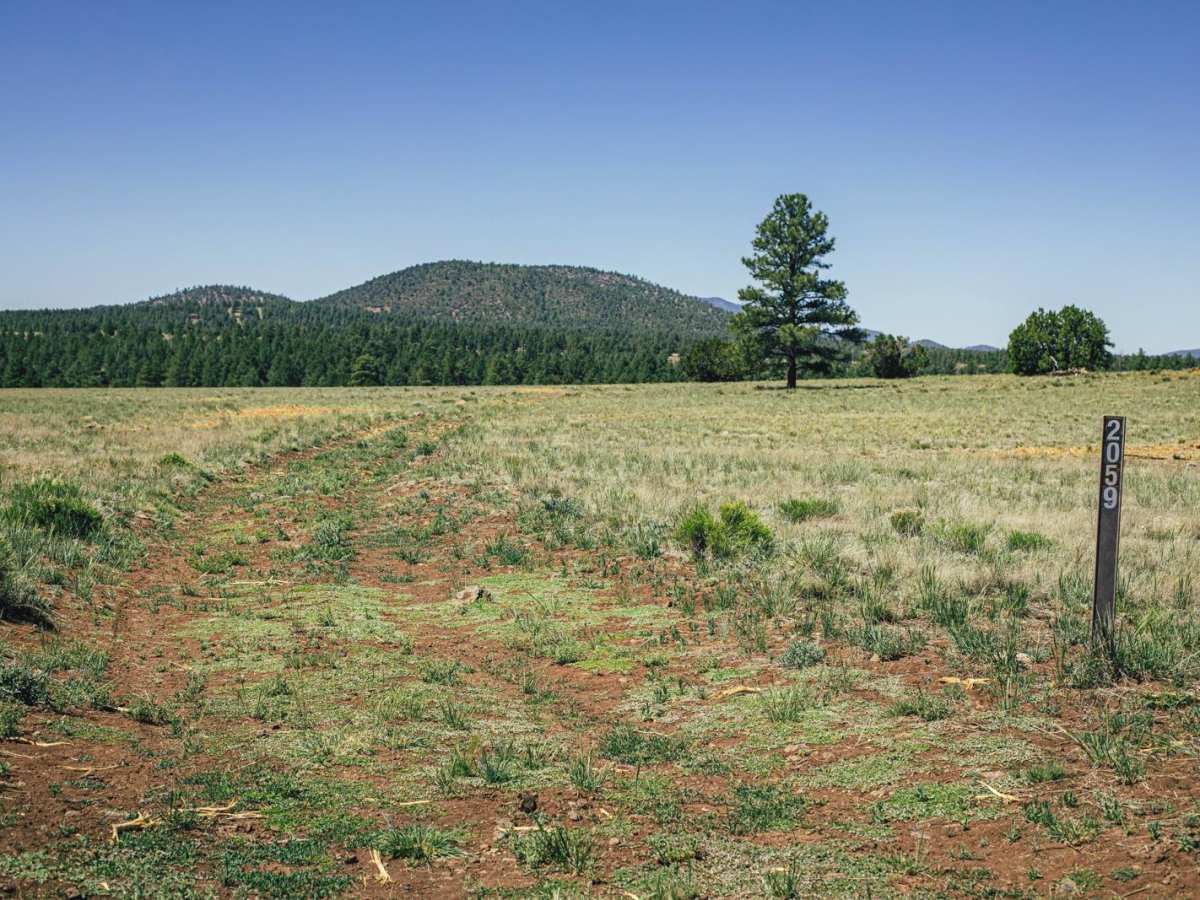 Hunters Meadow trail photo