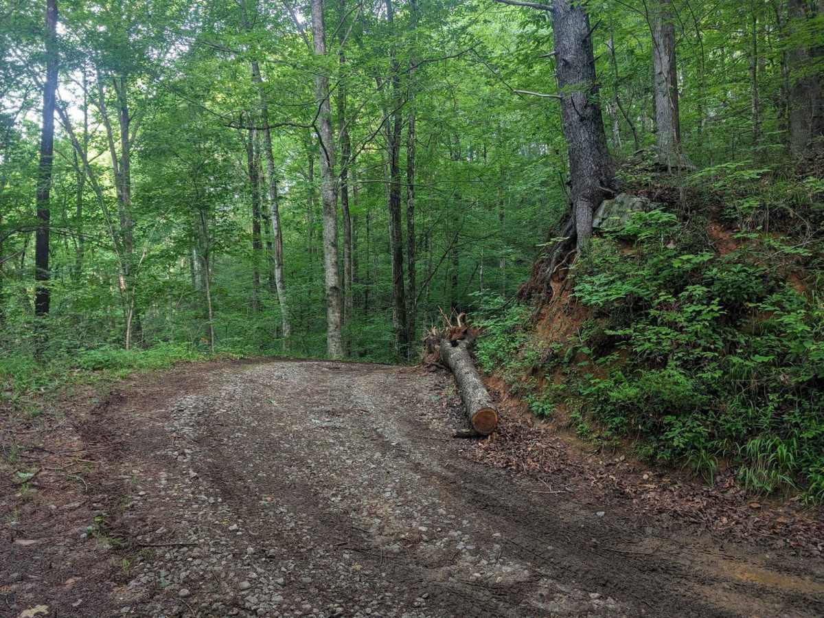 Chestnut Ridge Road/Auger Hole Road photo 5