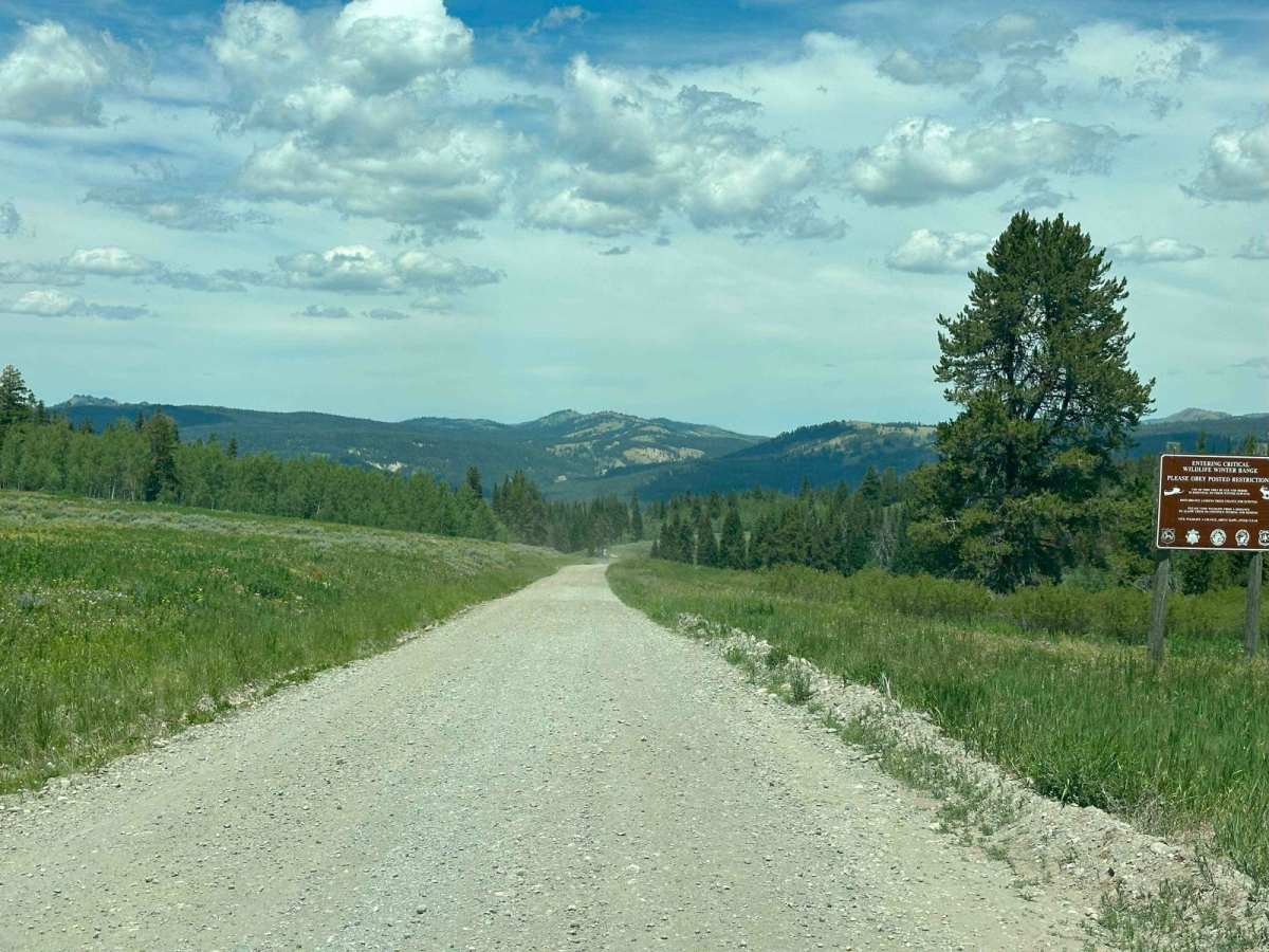 Fourmile Meadow photo 5