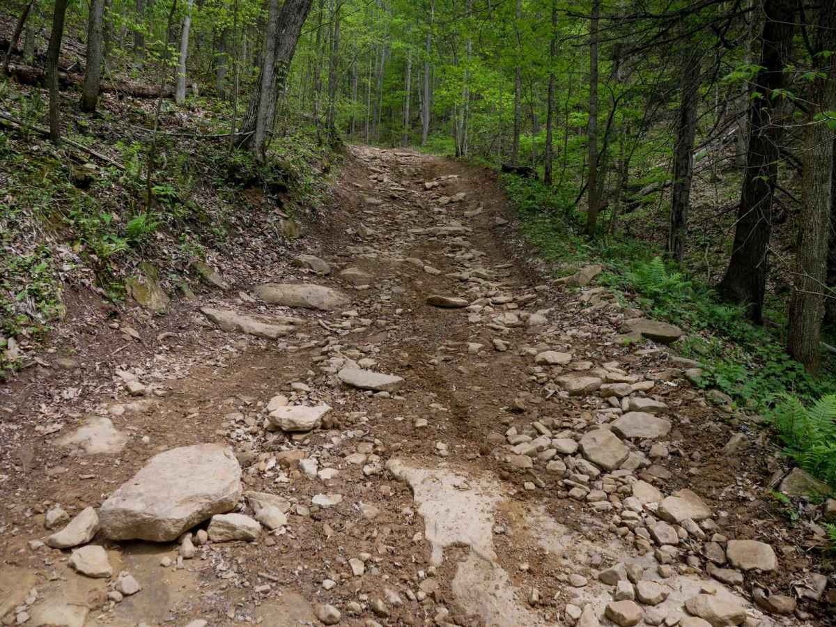 W77 trail photo