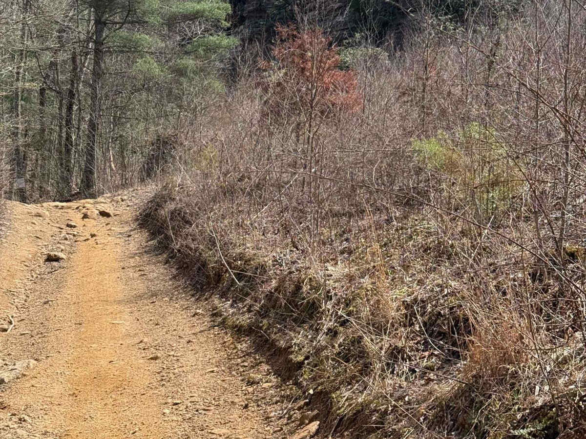Trail 24 photo 5