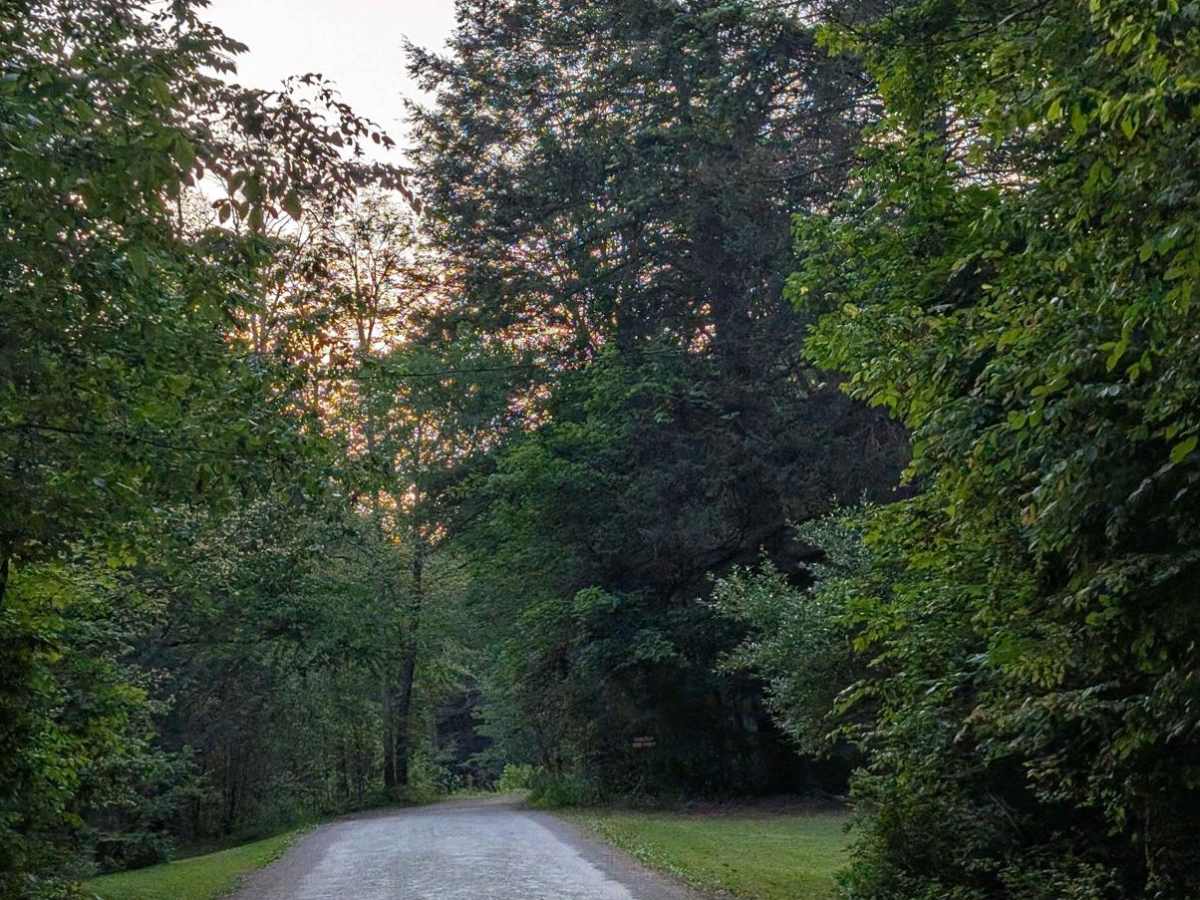 Hoagland Branch Road photo 2