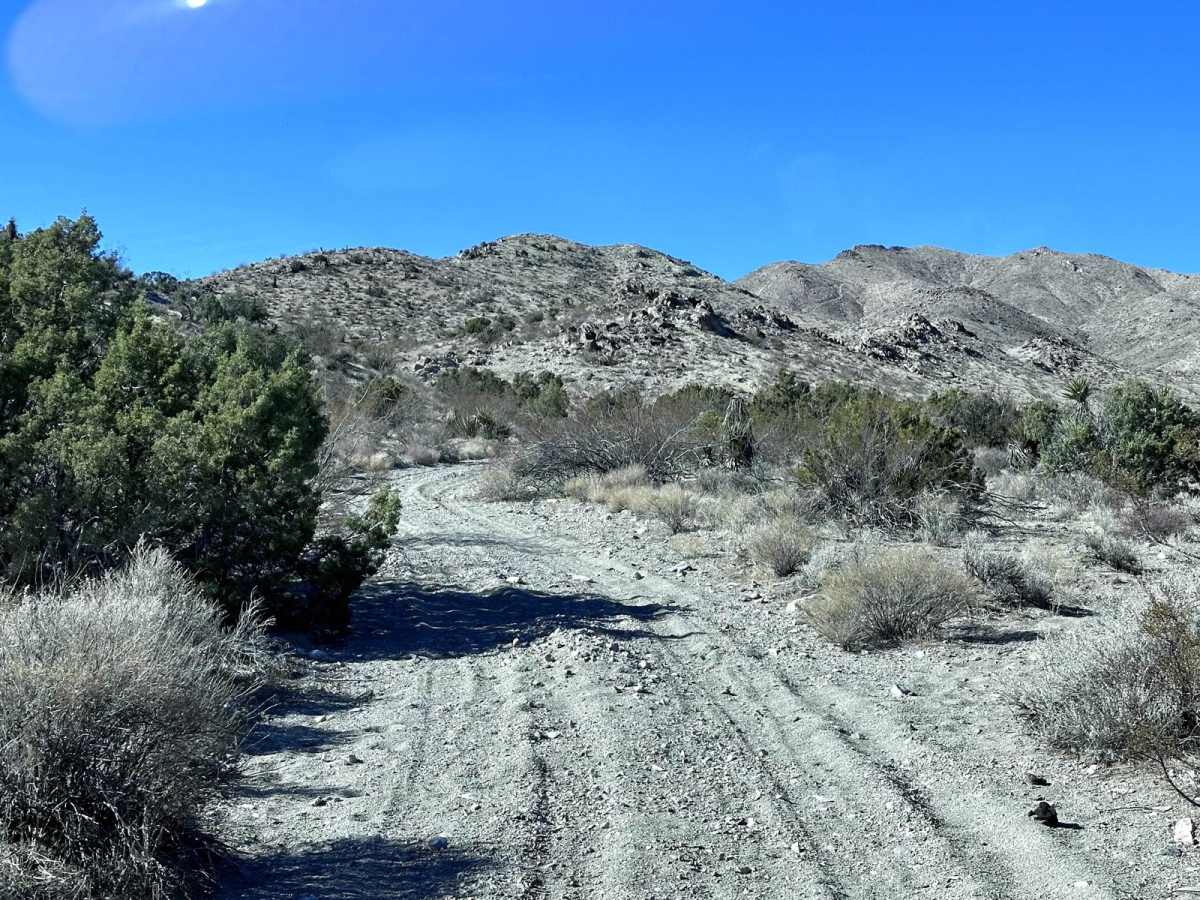 Coyote Spring photo 4