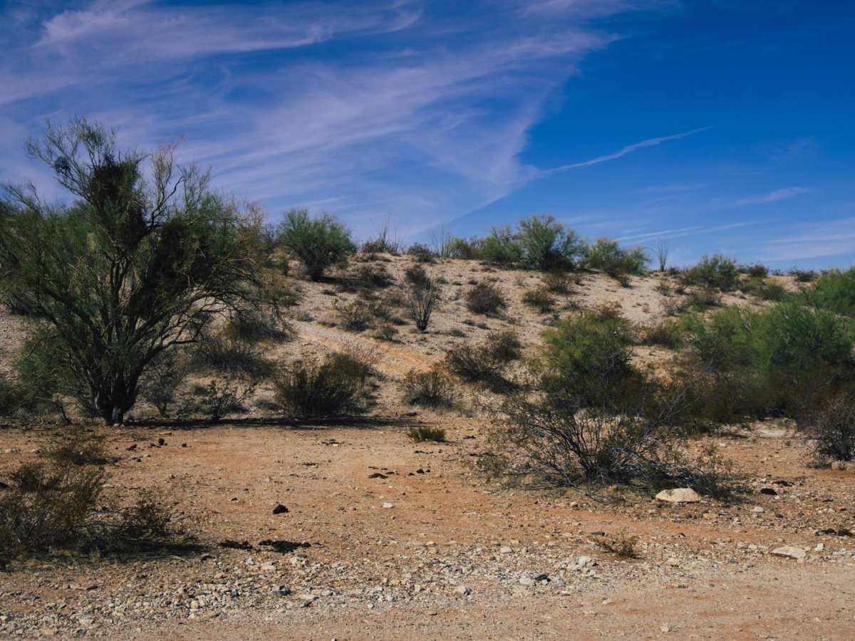 Northbound Confusion trail photo