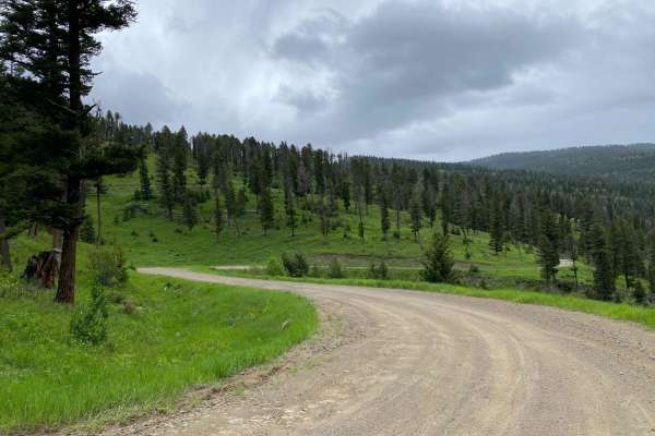 Start of Olsen Creek