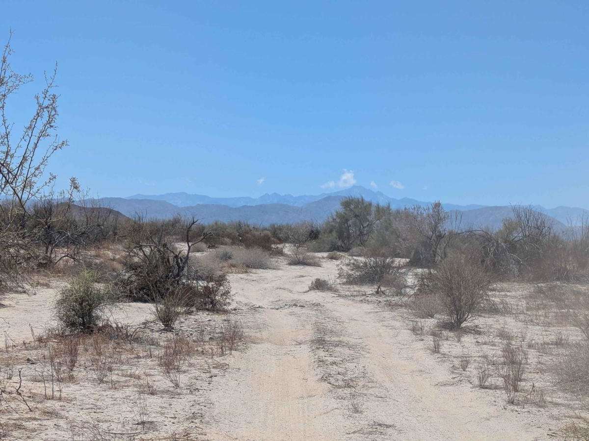 Afloramiento de Ocotillo trail photo
