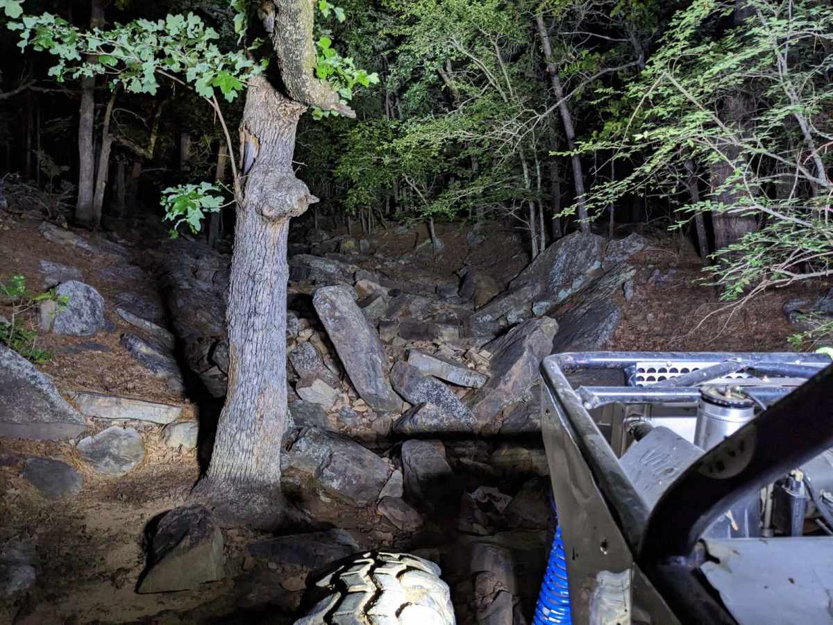 Spring Creek trail photo