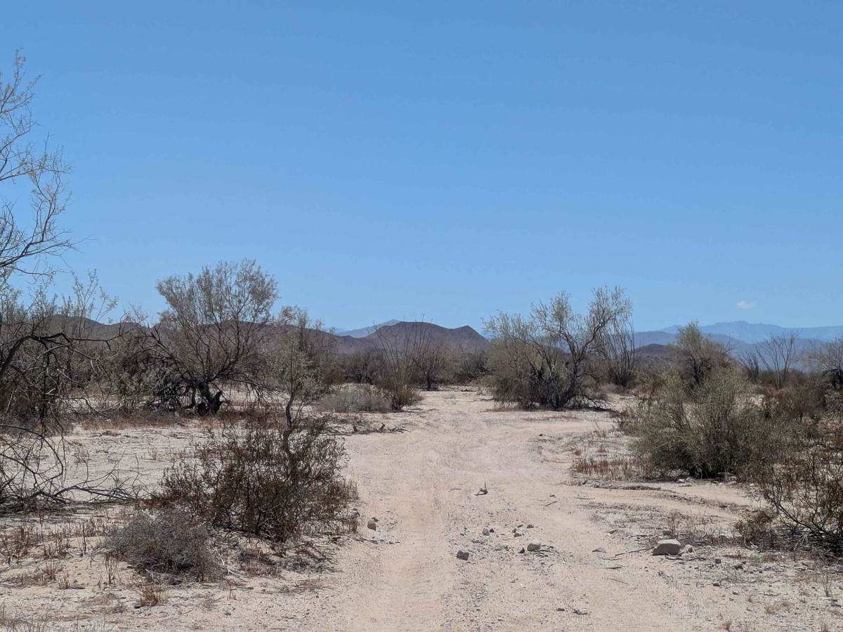 Afloramiento de Ocotillo photo 2