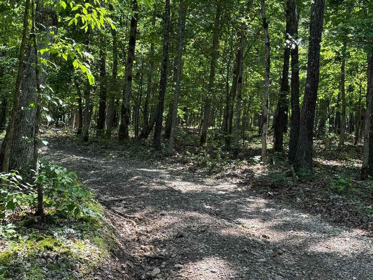 Emma's Trail photo 2