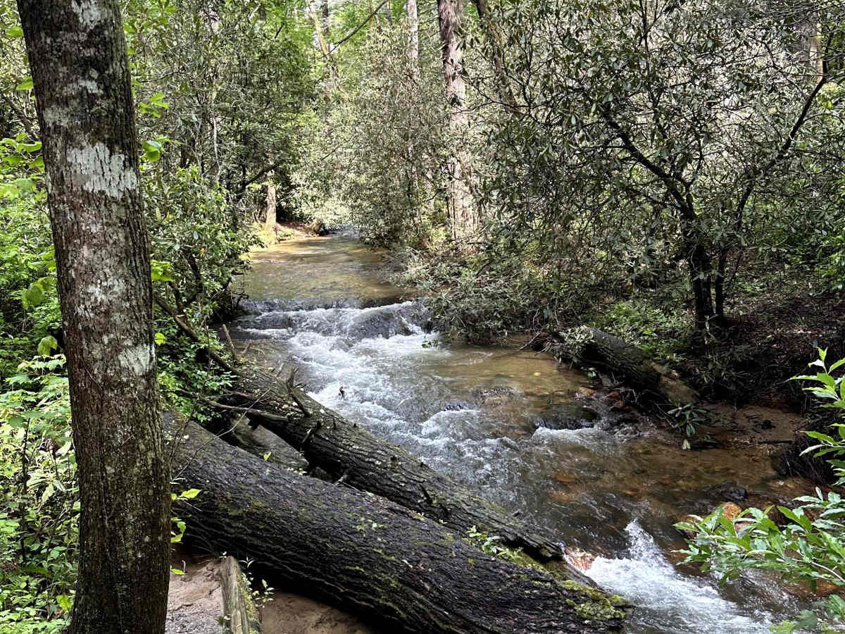 Nimblewill Road photo 6