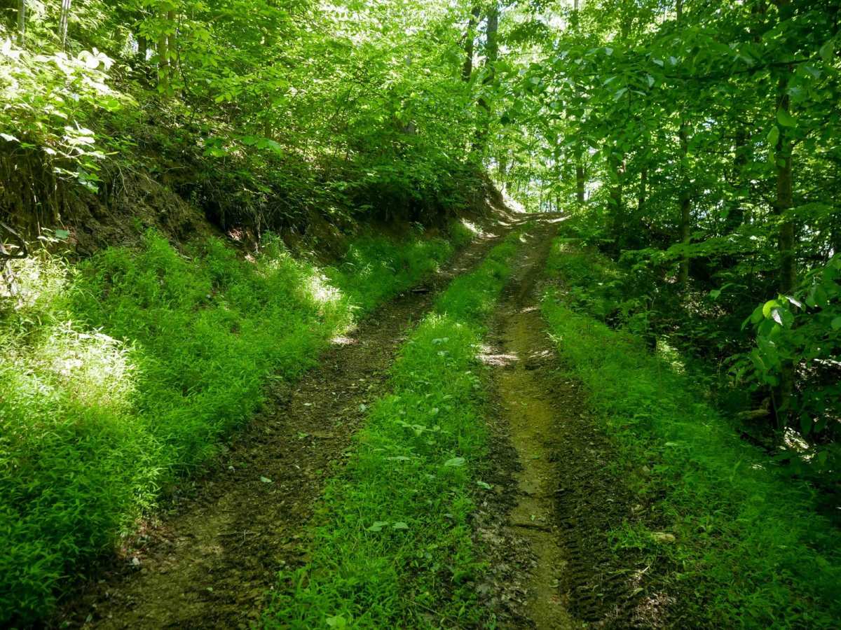 RV45 trail photo