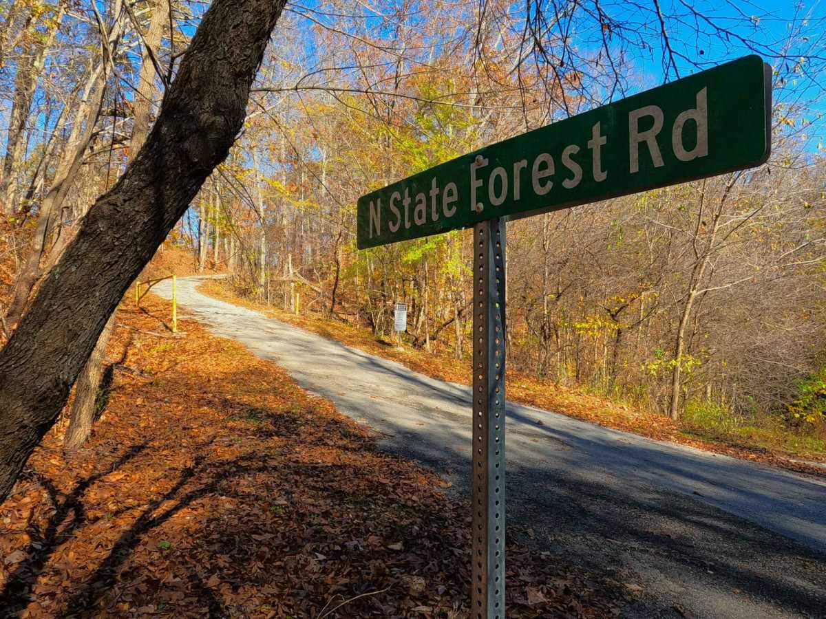 North Forest Road photo 2