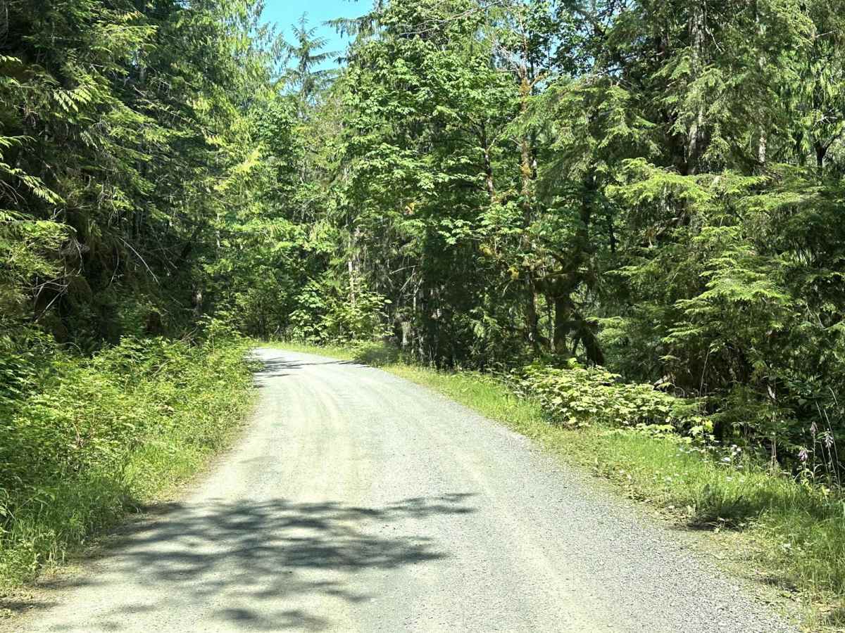 Nooksack River Trail photo 4