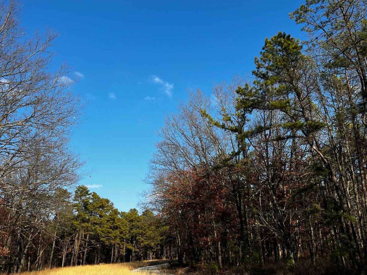 Webb Mill Road to 539 photo 2