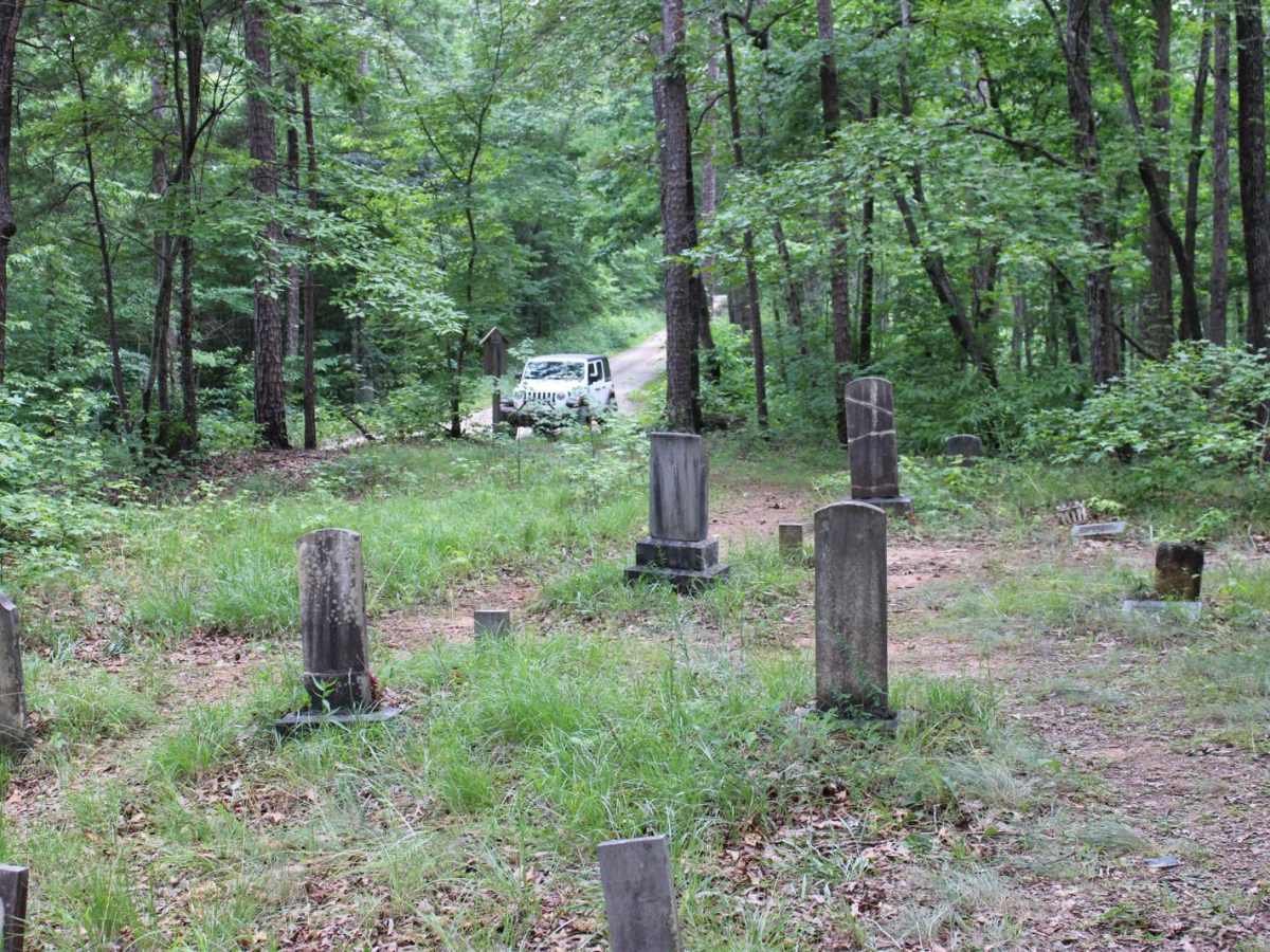 Georgia Mountain Orchard photo 6