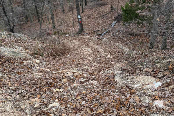 Arch Cave Cliff Drive - 274