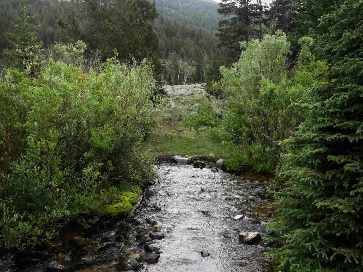 Trail Creek photo 5